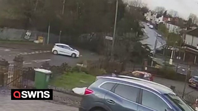 Motorist narrowly avoids being crushed by large tree during Storm Henk