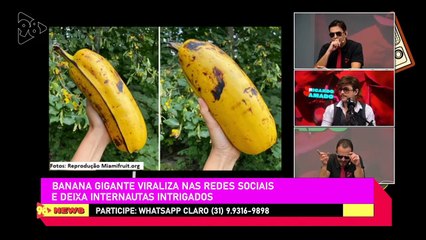 Ricardo Amado 03/01/2024