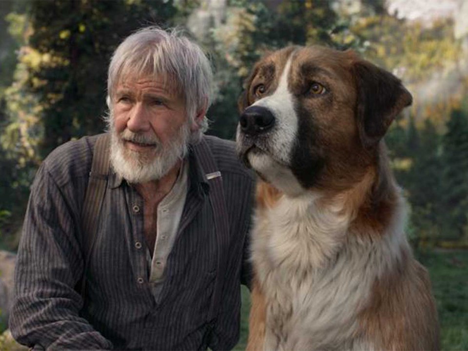 Quelle star joue le rôle de Buck, le chien de Harrison Ford dans L'Appel de la Forêt (TF1) ?