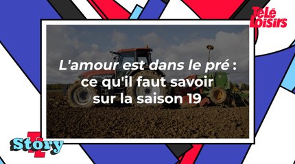 L'amour est dans le pré (M6) : ce qu'il faut savoir sur la saison 19