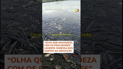 Milhares de peixes aparecem mortos em lagoa onde mina da Braskem colapsou em Maceió #shorts
