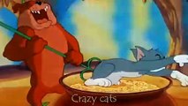 TOM and JERRY in Real Life  Best Episodes