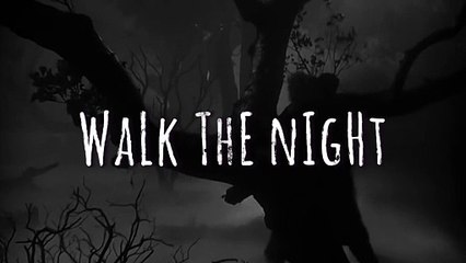 Skatt Bros - Walk The Night ☕️ [BEATFOOD INC. REMIX]