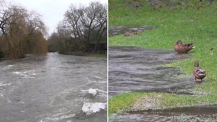 Storm Henk: Water surges close to arches of bridge in Derbyshire village after torrential rain
