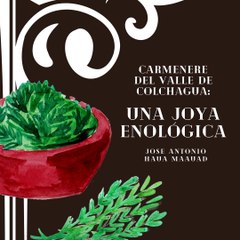 Jose Antonio Haua Maauad- Descubre el encanto de la Carmenere del Valle de Colchagua en Chile