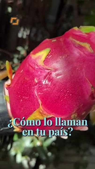 ¿Ya la has probado?