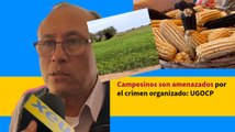 Campesinos son amenazados por el crimen organizado: UGOCP