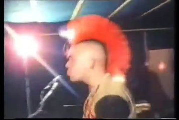 Groupe The Exploited  (Fuck the USA)