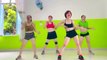 Thon gọn cơ thể cho người mới tập 20 phút aerobic giảm mỡ bụng | Trang aerobic