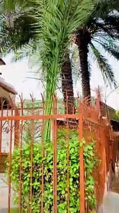 Sufi barkat ali