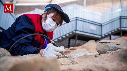 Descubrimiento extraordinario: Huevos de dinosaurio cristalizados revelan secretos prehistóricos