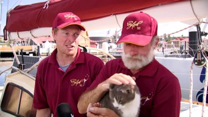 Oli the cat completes Sydney to Hobart yacht race to fanfare at dock, after a week at sea