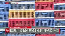 Pollos, que estaban en un camión varado por el bloqueo en Colomi, murieron en plena carretera debido al frío