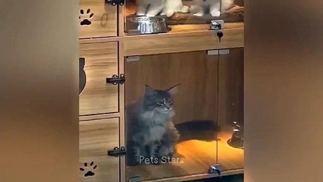 #ytshortsindia morsomt haha #comedys #babs #comedyshorts #cuteanimals #ytshortsindia​​​ #cutebaby #comdy #comedys #babs #comedyshorts #cuteanimalsytshortsindia #ytshortsindia 有趣哈哈 #cutebaby #comdycomedys #ba# Comedyshorts #cuteanimals#ytshortsindia#ytshor