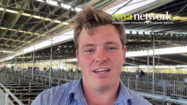 Mortlake weaner sale, all breeds steers and heifers | Stock & Land | 04/01/23