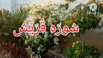 Surah quraish | Surat-ul-quraish | Al quraish | Quran pak ki tilawat | Islamic videos | learn quran, | Tilawat | quran surah | Quran
