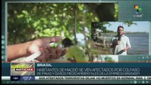 Brasil: Habitantes de Maceió son afectados por daños medioambientales por colapso de minas