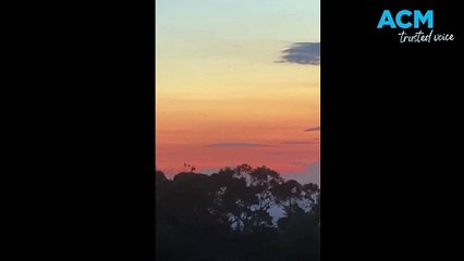 Reported UFO sighting above Mt Canobolas