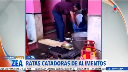 Ratas se pasean en un puesto callejero en India