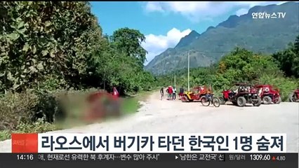 라오스에서 버기카 타던 한국인 1명 숨져
