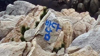 울산 관광지 대왕암공원에 '바다남' 낙서 발견 / YTN