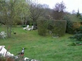 Jardin 1er avril 2008