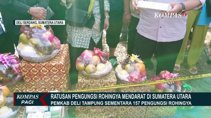Pengungsi Rohingya di Sumut: Ditampung di Pulau Kosong Hingga Ada Dugaan TPPO, Apa Langkah UNHCR?