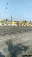 tronton jadi bis hijau