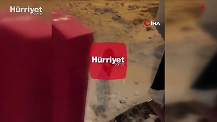 Kapısına kadar gelen tilkiyi elleriyle besledi
