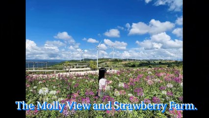 Discover the Charm of Khao Kho 🏞️