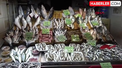 Deniz Suyu Sıcaklığındaki Artış Balık Bolluğunu Etkiledi