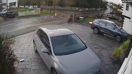 Motorist narrowly avoids being crushed by tree