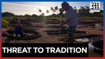 Hawaiian salt makers combat climate change, pollution