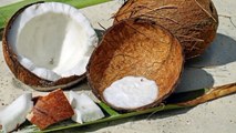 नारियल गिरी खाने के नुसकान |कच्चा नारियल खाने के नुकसान | nariyal Giri khane ke क्या-क्या nuksan hain
