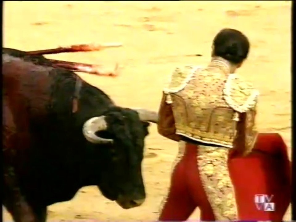 TARDE DE TOROS-JUAN MORA-ENRIQUE PONCE Y DAVID LUGUILLANO-VALLADOLID-13 MAYO 1997