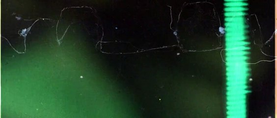 Ampeter ficha por Kick: Todo lo que necesitas saber sobre su incorporación