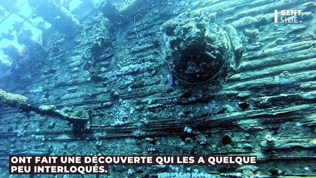 Des chercheurs découvrent un mystérieux orbe doré dans les profondeurs (VIDÉO)