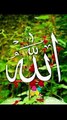 ALLAH Al Quran Rahman new islamic video#allah #islam #shorts #allah #islamicvideo