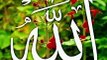 ALLAH Al Quran Rahman new islamic video#allah #islam #shorts #allah #islamicvideo