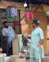 Wait till end #funny #comedy #dailymotionlaughs