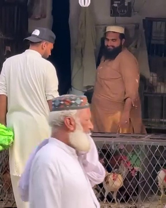 Stop that’s my chicken #funny #comedy #dailymotionlaughs