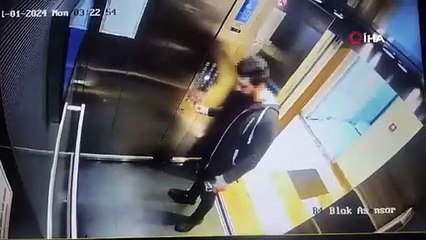 İstanbul'da Güvenlik Kamerasına Yansıyan Kedi Katili Şok Edici Anlar 🐱