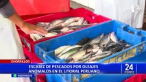 Chorrillos: escasez de pescados por oleajes anómalos en el litoral peruano