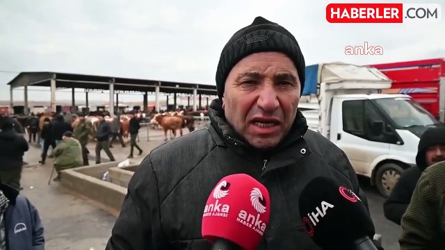 Yozgat'ta Şap Hastalığı Nedeniyle Canlı Hayvan Pazarları Kapatıldı