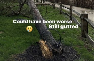 David Beckham 'gutted' by storm damaging his £6 million home