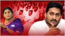 ys sharmila పై YSRCP అటాక్ మొదలు .. CM Jagan ను తిడితే ప్రతిపక్షమే.. | Telugu OneIndia