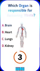 General Knowledge Exploration  #humanbodyfacts  #generalknowledge  #educationalcontent  #shorts #shortvideo