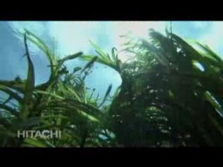 The World’s Thinnest TV