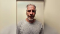 Jeffrey Epstein: court documents reveal names of the late sex offender’s associates