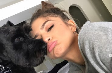 Zendaya Instagram temizliğine başladı!